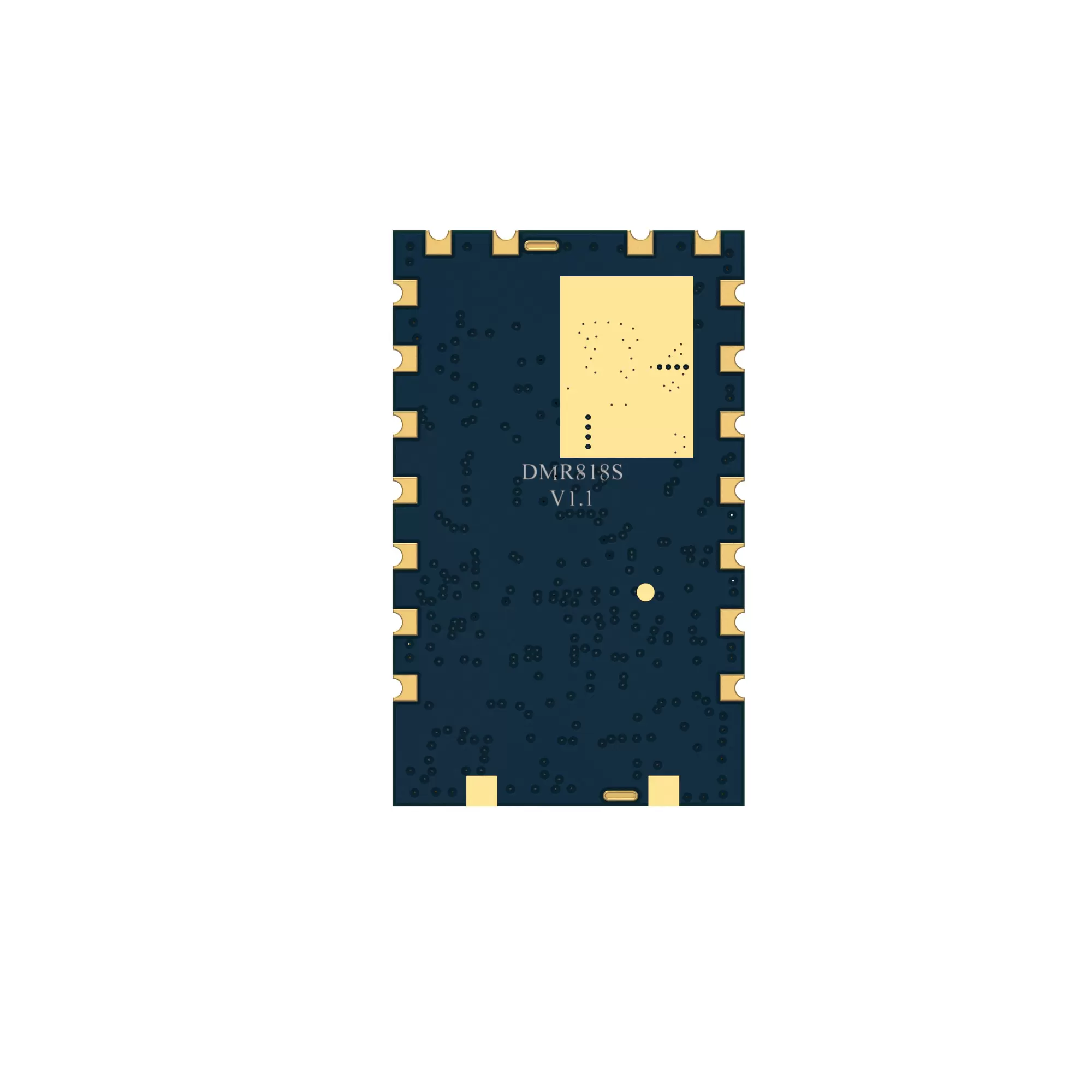 DMR818S-5W: Módulo de walkie-talkie DMR 0.5PPM TCXO 5W