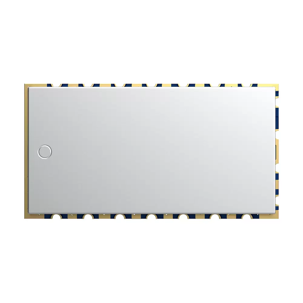 Módulo de audio inalámbrico de alta fidelidad SA316F30:1 W